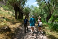 Cappadocia: Guided Green Tour Experience with Entry Tickets 8