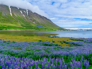 9 Day - Around Iceland & Wild Westfjords, photo 7