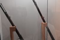 Hiroshima Early Morning Tour (Private Option Available) 10