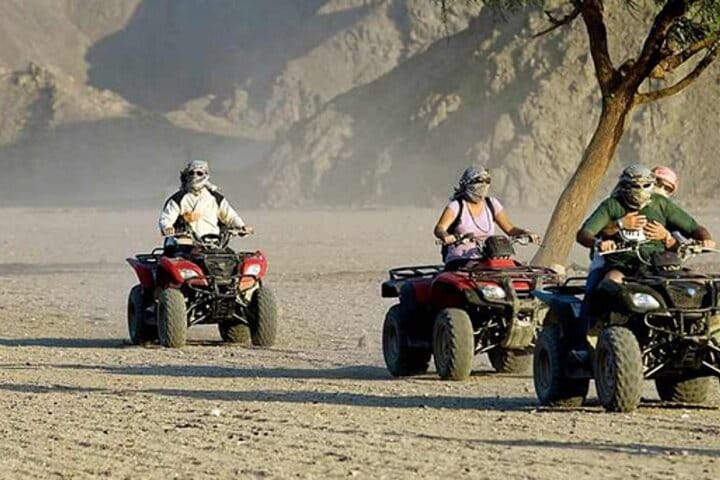 Quad with Camel Ride & Bedouin village, Dinner From Marsa Alam