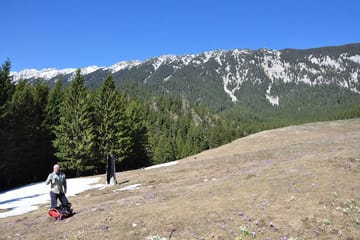 2-Day Cultural and Adventure Tour in Transylvania from Brașov
