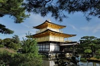 Kyoto Top Highlights 1 Day Bus Tour with Geisha Show Included 6