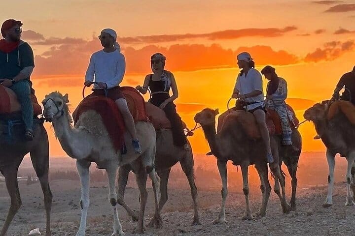 Agafay Quad and Sunset Camel Tour with Dinner Show from Marrakech