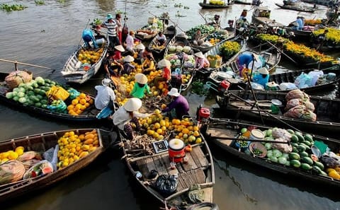 Explore Can Tho: 2-Day Adventure in the Mekong Delta