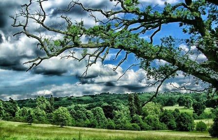 Kent; Garden of England Private Tour including Passes to 4 Sites