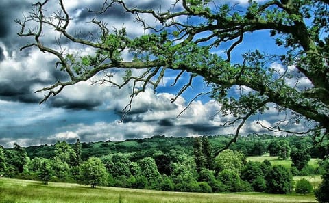 Private Tour of Kent's Iconic Sites: Canterbury, Dover, Leeds Castle