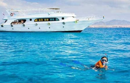 Snorkeling Adventure at Ras Mohamed National Park from Sharm El Sheikh