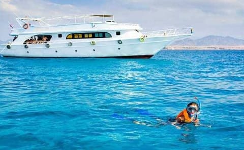 Snorkeling Adventure at Ras Mohamed National Park from Sharm El Sheikh