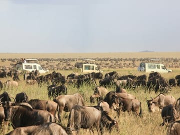 4 Days, 3 Nights - Lake Manyara, Serengeti & Ngorongoro Safari