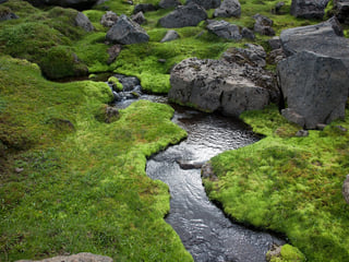 A detail from the landscape on the Laugavegur Volcano Trail. Photocredits: Alastair Humphries.