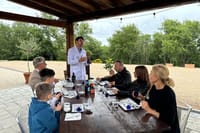 Olive Oil Tours and Tasting at Frantoio di Montalcino 2