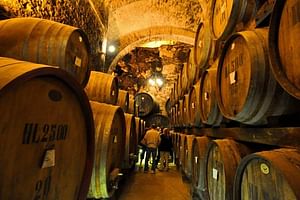 Montalcino & Montepulciano - Private VIP Brunello, Rosso e Nobile Wine Tastings in the magnificent natural scenery of the Val d'Orcia