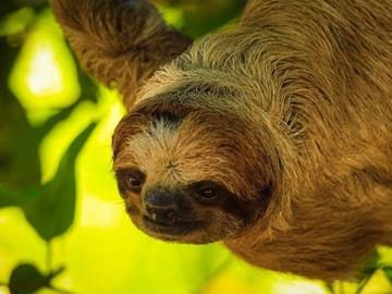 Hey you, welcome to Roatan :)