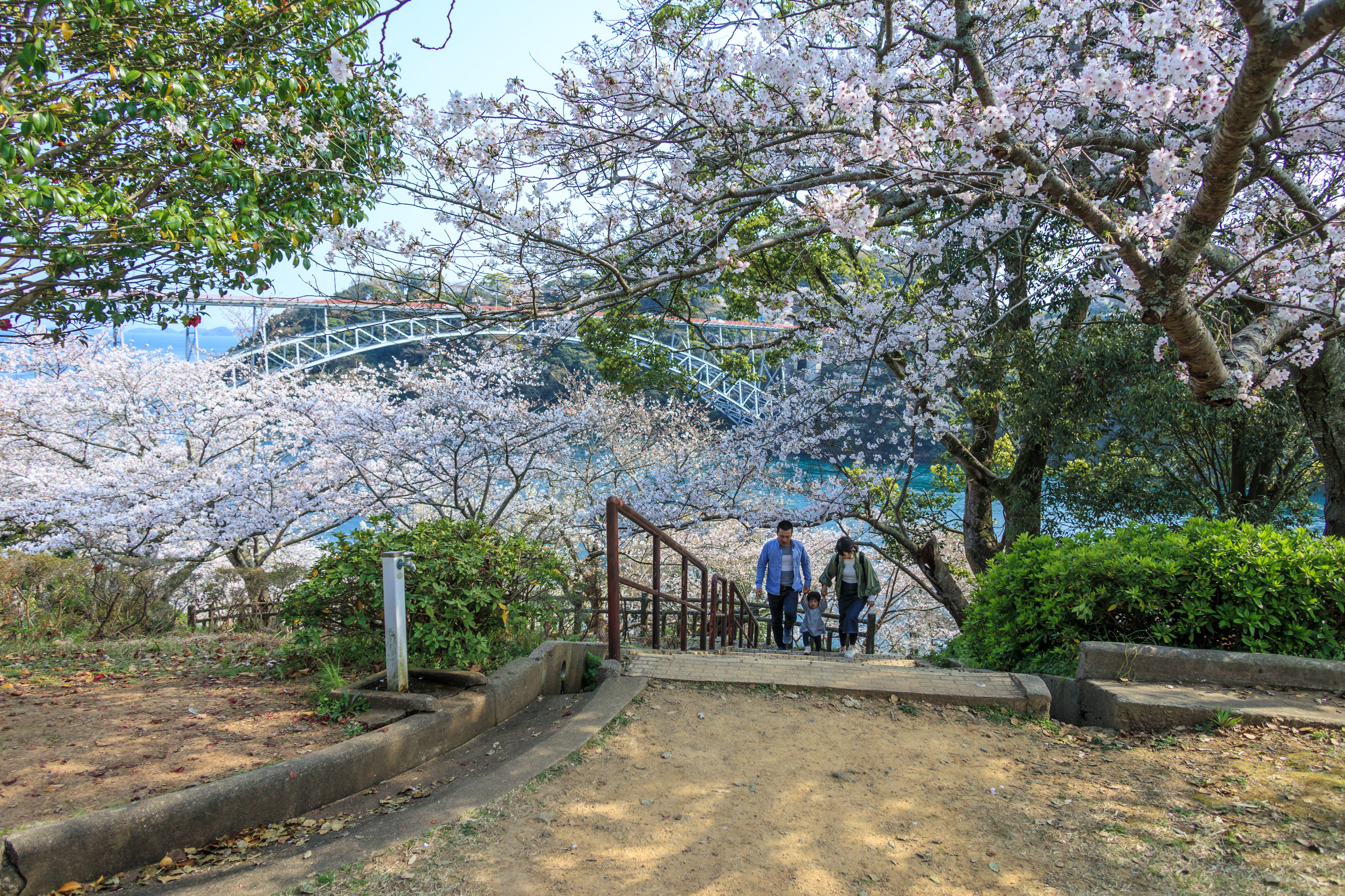 Sasebo Custom Day Tour