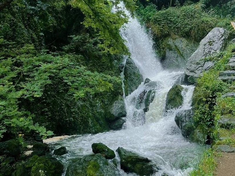 Hangzhou: Jinxi Water Town & Kunshan Garden Private Day Trip