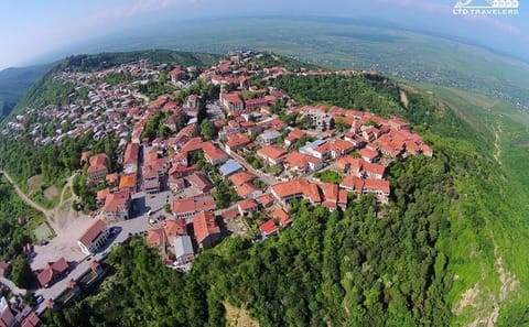 Private Kakheti Wine and Culture Tour: Signagi and Telavi