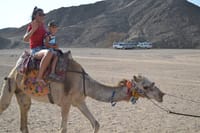 Safari Full Day By ATV Quad &amp; Camel Ride With Dinner - Marsa Alam