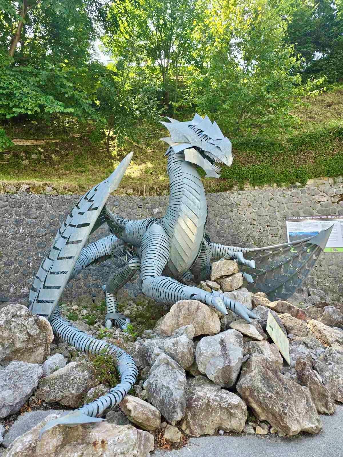 Tržič Dragon