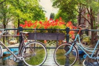 TOP Amsterdam: Private Guided Tour with your mobile 2
