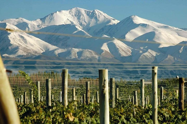Vineyards