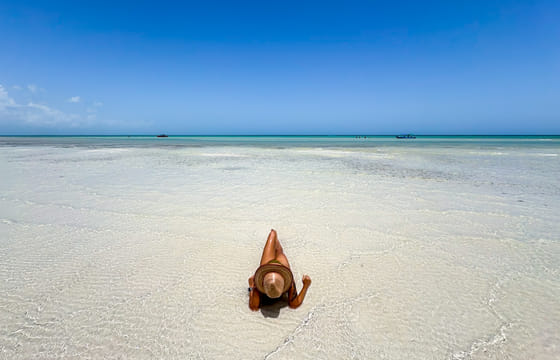 Holbox Island Day Trip with Birdwatching and Beach Lunch