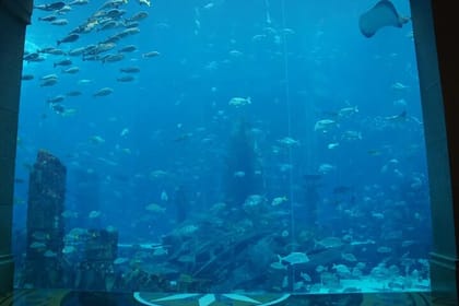 Atlantis -Lost-Chambers Aquarium- in Dubai