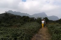 Knuckles and Riverston Trekking Experience From Kandy 3