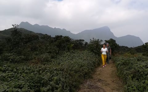 Knuckles and Riverston Trekking Tour from Kandy