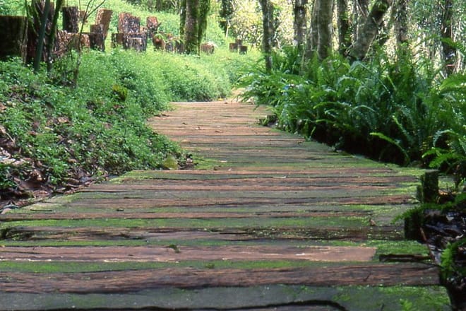 Doi Tung & Royal Villa Guided Cultural Tour photo 5