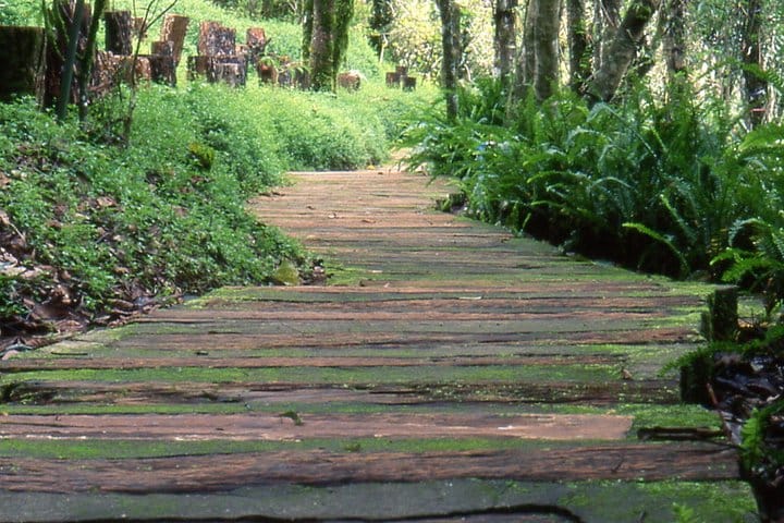 Doi Tung & Royal Villa Guided Cultural Tour 5