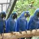 Bird Park