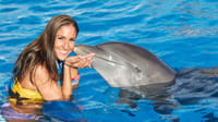 Isla Mujeres: Dolphin Connection 8