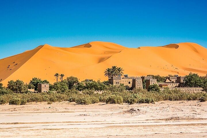 Marrakech to Merzouga Desert Adventure: Camel Trek & Desert Camp Experience