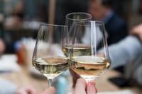 Sipping and getting insights on the greatest Greek varieties