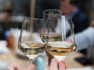 Sipping and getting insights on the greatest Greek varieties
