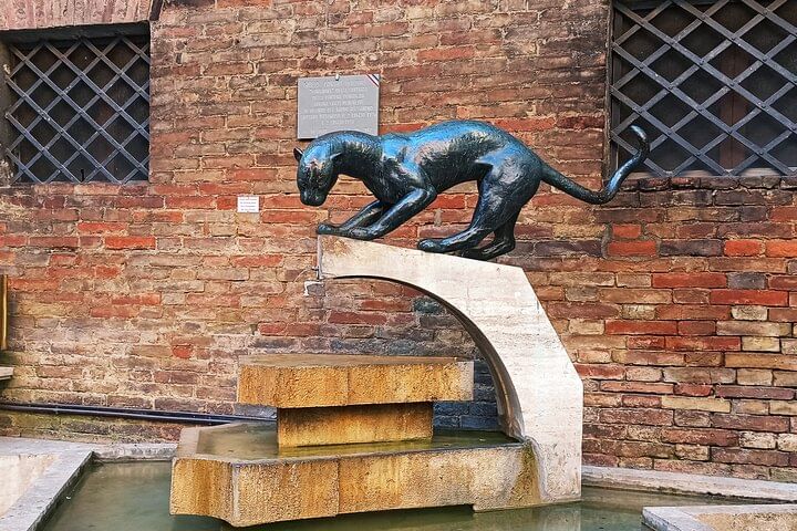 PRIVATE TOUR: Pisa & Siena in one day with Wine tasting & Lunch in Chianti