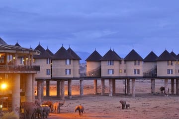 Overnight Private Safari Saltlick Lodge From Mombasa Diani