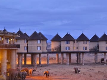 Overnight Private Safari Saltlick Lodge From Mombasa Diani