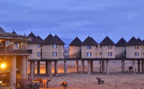 Overnight Private Safari Saltlick Lodge From Mombasa Diani