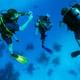 Scuba Diving