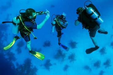 Scuba Diving Adventure in Kuşadası, Türkiye