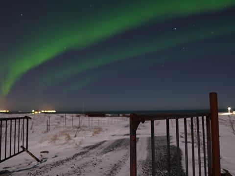 Northern Lights w/Aurora Viking - free pro photos - unlimited retries – minibus, photo 20