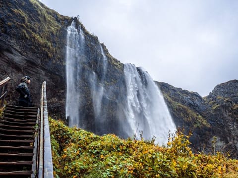 Reykjavik South Coast Small Group Tour with Black Sand Beach, photo 5