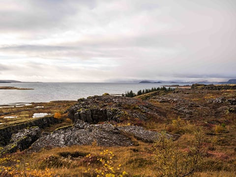 Golden Circle and Waterfalls, with Friðheimar Farm and Kerið in small group, photo 8