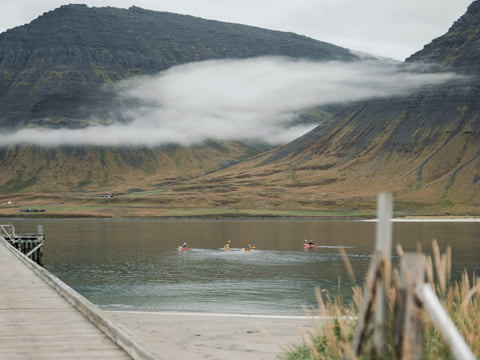 Fjord Discovery 