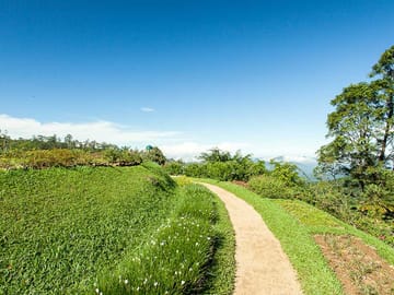 Kandy City Tour: Explore Cultural Heritage in One Day