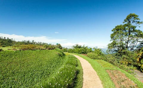 Kandy City Tour: Explore Cultural Heritage in One Day