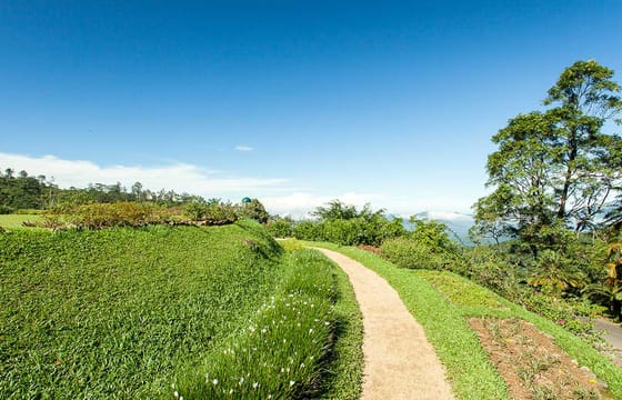 One Day Experience in Kandy (German & English)