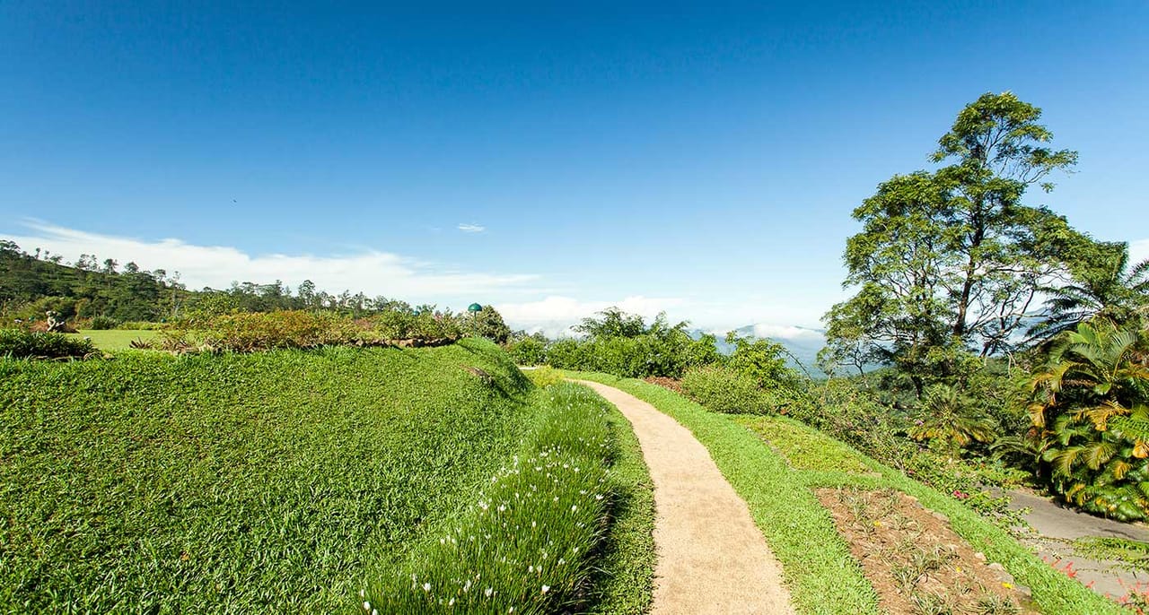 One Day Experience in Kandy (German & English) 2