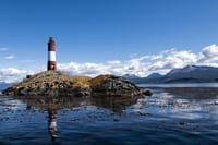 Ushuaia, Navigation Beagle Channel and Isla de Lobos - Half day 6